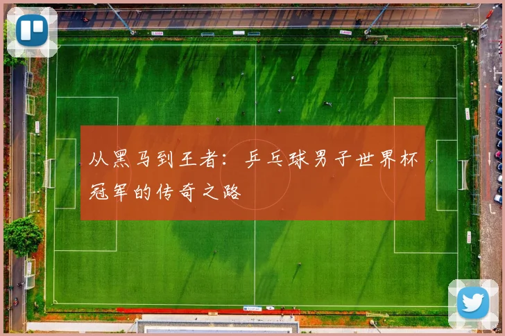 从黑马到王者：乒乓球男子世界杯冠军的传奇之路