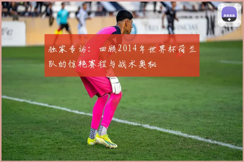 独家专访：回顾2014年世界杯荷兰队的惊艳赛程与战术奥秘