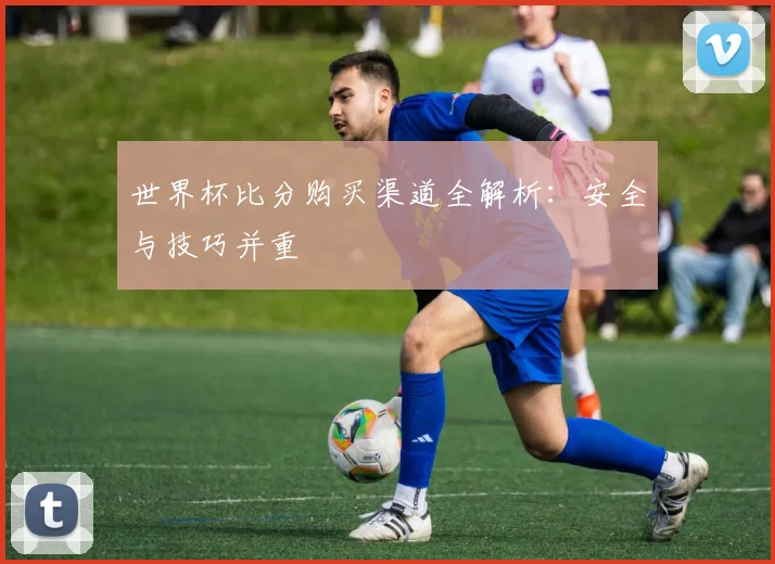 世界杯比分购买渠道全解析:安全与技巧并重