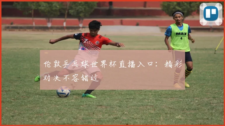 伦敦乒乓球世界杯直播入口：精彩对决不容错过