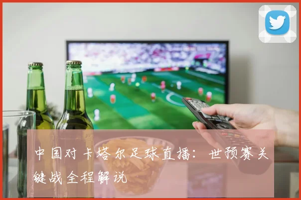 中国对卡塔尔足球直播:世预赛关键战全程解说