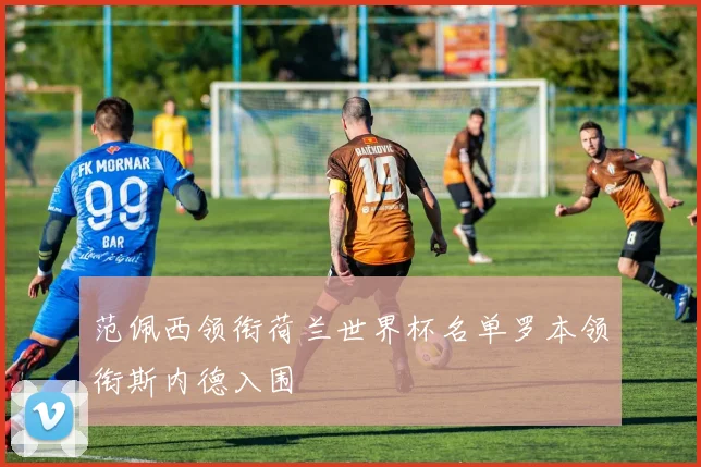 范佩西领衔荷兰世界杯名单罗本领衔斯内德入围