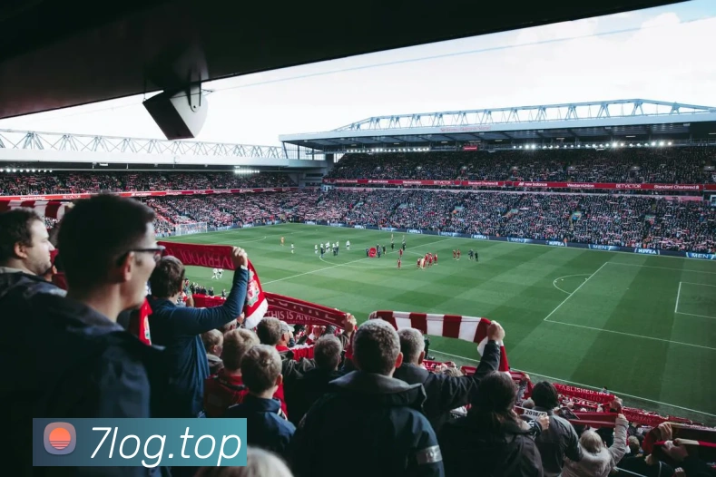 奇异果官网首页入口平台生态图